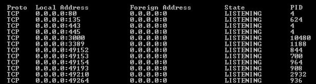 httpclient-scenarios-netstat-output